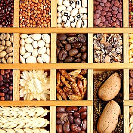 �a�ʴ�Ϋe�A���Ƿ|����a�ʼ��q