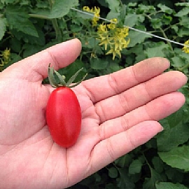 �ɤk�p���X [��m���@�w�q�A]�ۮa���u�泾�A�ҡv�صf�X���G�T��