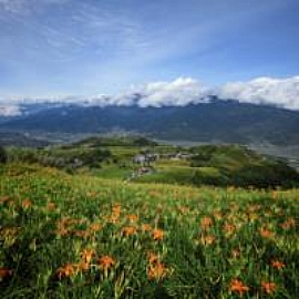 �Ὤ��ᴺ�I �Ὤ���w��u ���Q�ۤs���w��