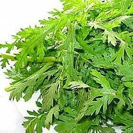 ����sӦ�U���лP�Ʋz