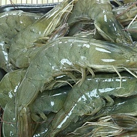 �n�D�L�r�ս��}�c�� �ｼ���j�I����F��