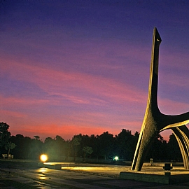 ������ᴺ�I �������|����