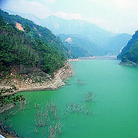 ���L���I-�����a�������