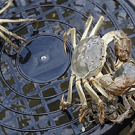 �j�h�ɧt�T�ġH�w�ߤj�h�ɿ��ʪk