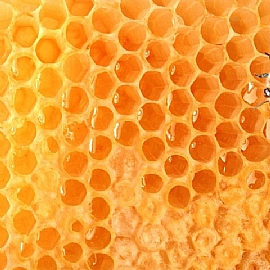 ���e�\�ĤθT��