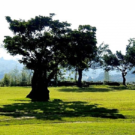 �ѩx�D�𶢹A���S���