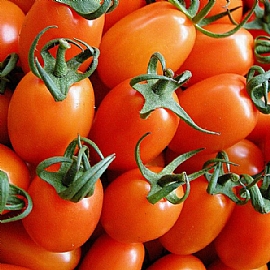 ���e�����X�شӤ�k�j���}