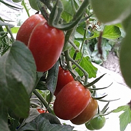 �ūǥɤk�p�f�X������n�ئb�ū�