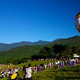 2015�~�x�F����y�Ŧ~��