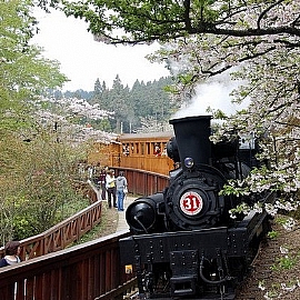 Fun�~�� �Q������s�f�˪L�p���� 1/22�������}��