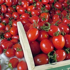 ���˰ϡX�ߪk�|�����������G�m