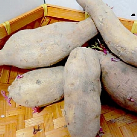 �a�ʵo�ޥi�H�Y�ܡH���M�a�i�D�A