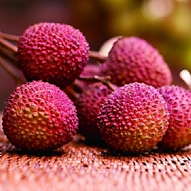 �����ɲ��]�J�W���P��