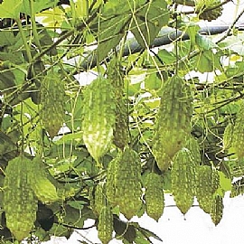 ���椶��-�s�W�ʸ����лP�Ʋz�@�k